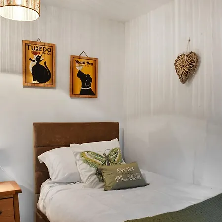 Daffodil كوكيرماوث